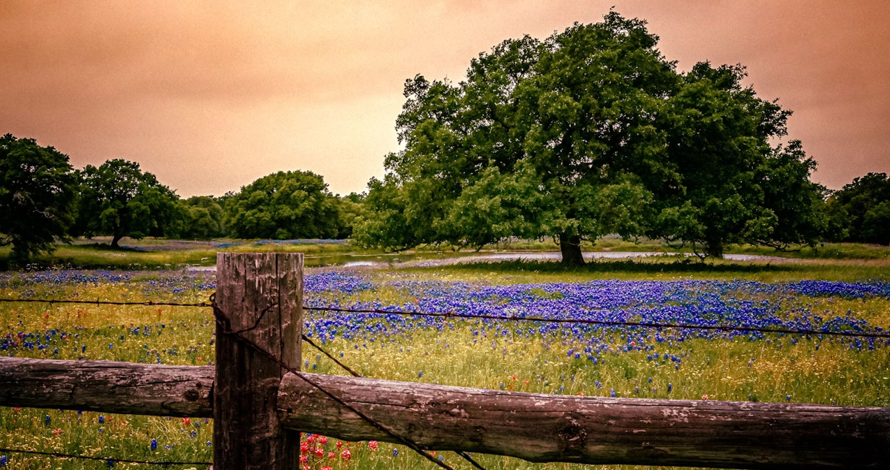 Texas Hill Country