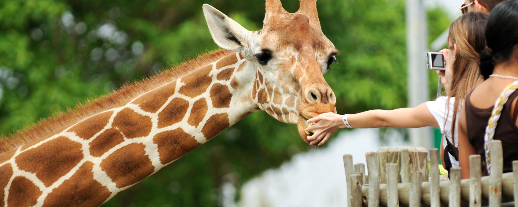 Things to Do in San Antonio